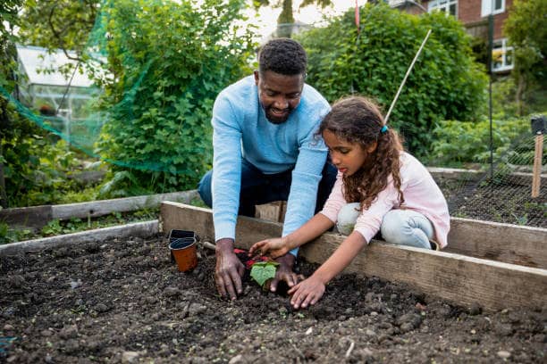 Qu'est-ce que c'est que la permaculture ?